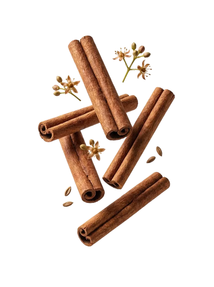 Bâtons de cannelle