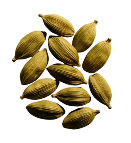 Gousses de cardamome