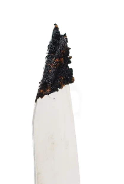 Caviar de vanille