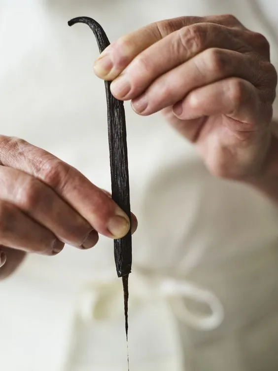 Créations pâtissières mises en valeur avec de la vanille